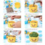 ⁦بوكس النبتة⁩ - الصورة ⁦3⁩