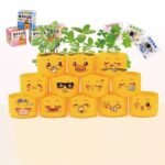 بوكس النبتة